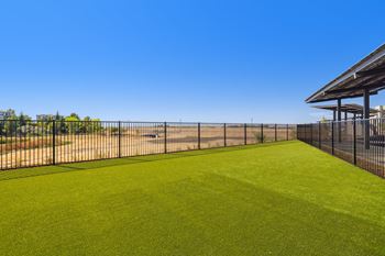 Bark park
